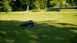 Motormower 1